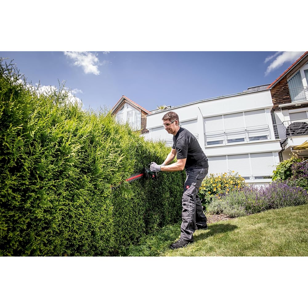 Metabo HS 18 LTX 55 V Solo Taille-haie sans Fil : Jardin