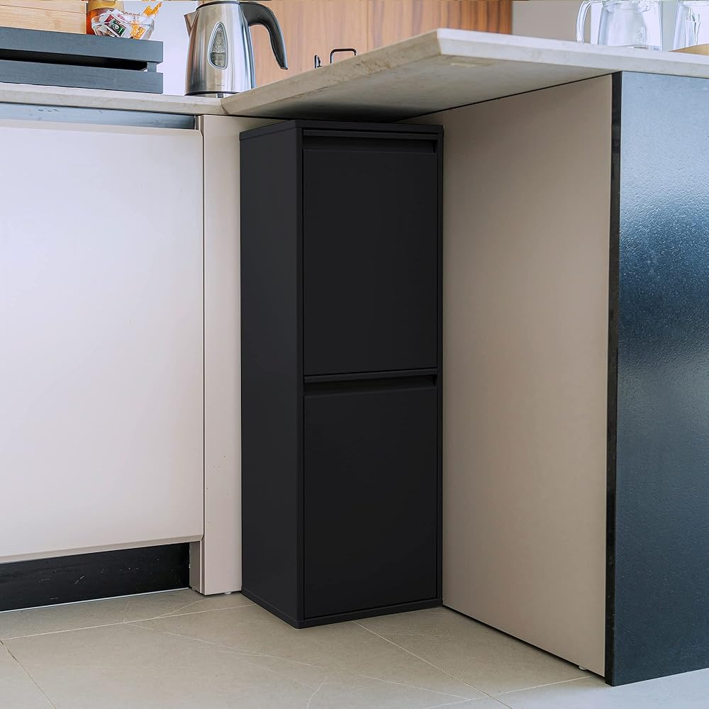 ARREGUI Basic CR206-B Poubelle de Recyclage Cuisine 2 Bacs | 2 x 17 L (34 L) | Poubelle de Tri Sélectif 2 Rangements | Meuble Poubelle en Acier avec 2 Seaux | Sac Poubelle | noir : Cuisine et Maison