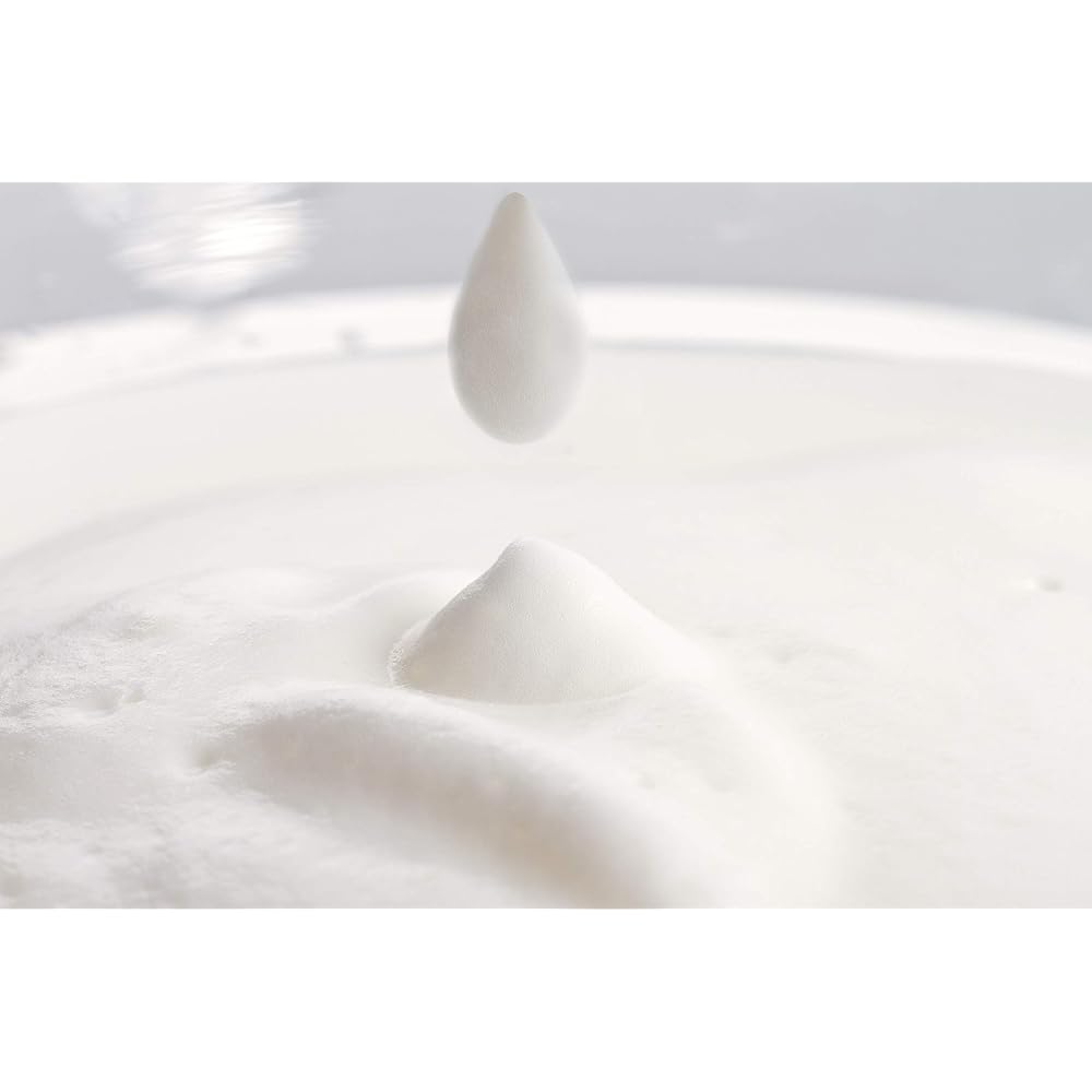 Melkopschuimer Mousseur à lait Philips Milk Twister CA6500/63 Noir avec mousse chaude et froide Taille unique : Cuisine et Maison