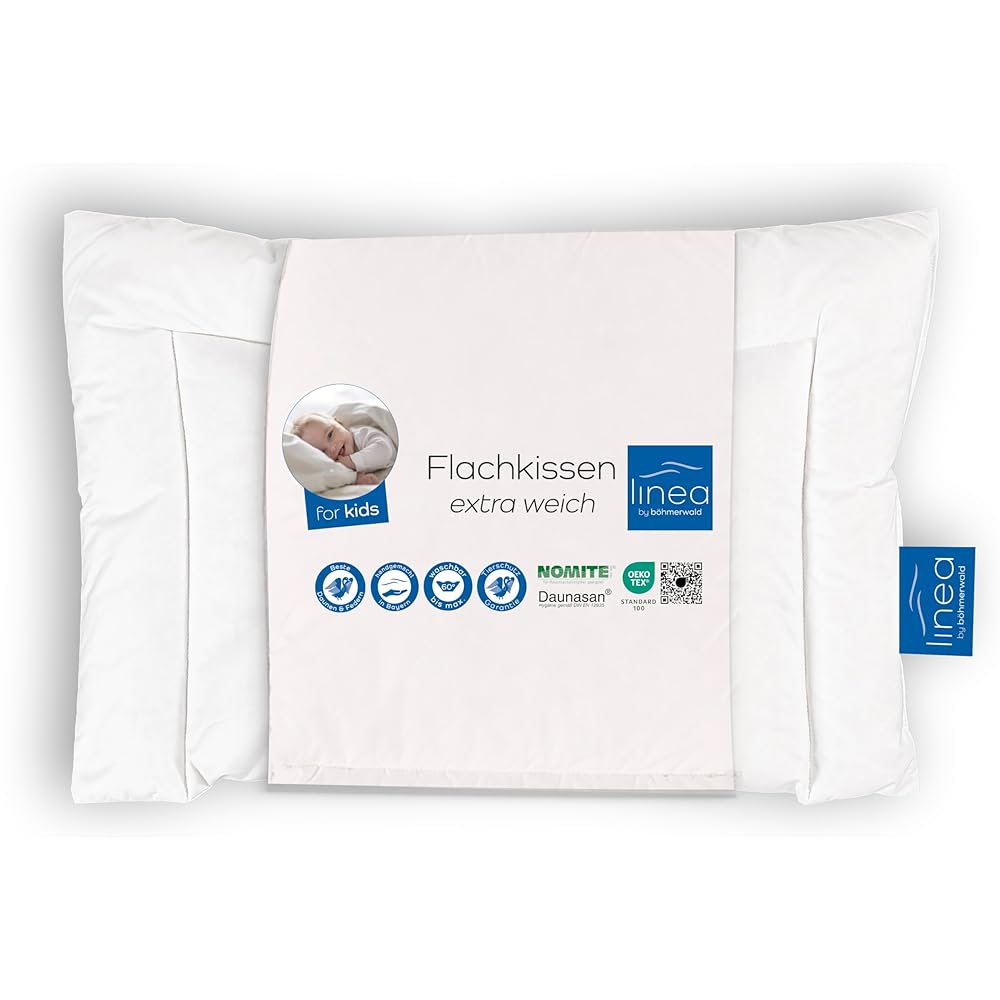 Böhmerwald 169600-39 Coussin plat pour enfant avec duvet et plumettes 40 x 60 cm (Blanc) : Cuisine et Maison