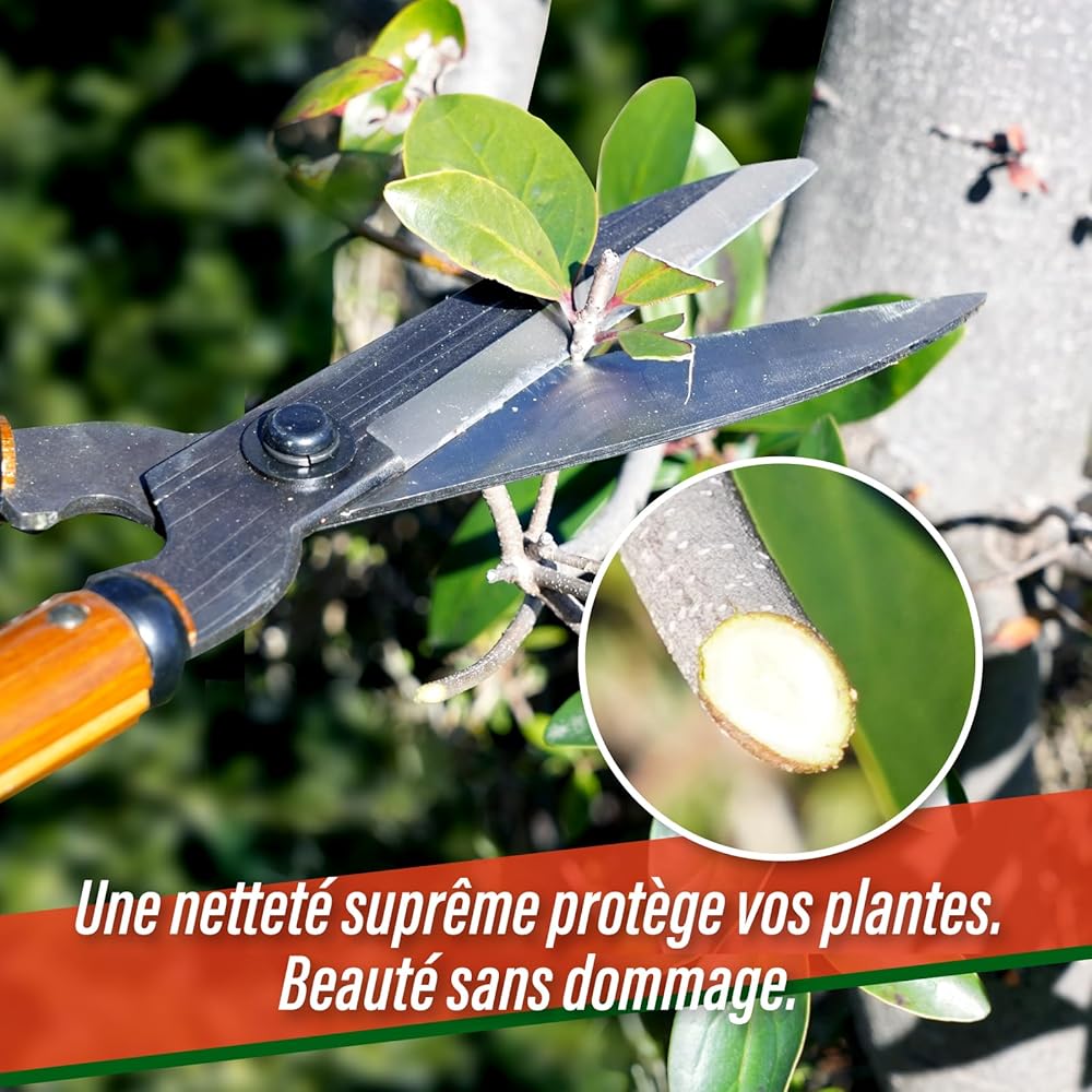 SUIZAN Cisaille à haies 540mm - Sécateur de jardin professionnel japonais à deux mains pour une taille précise : Jardin