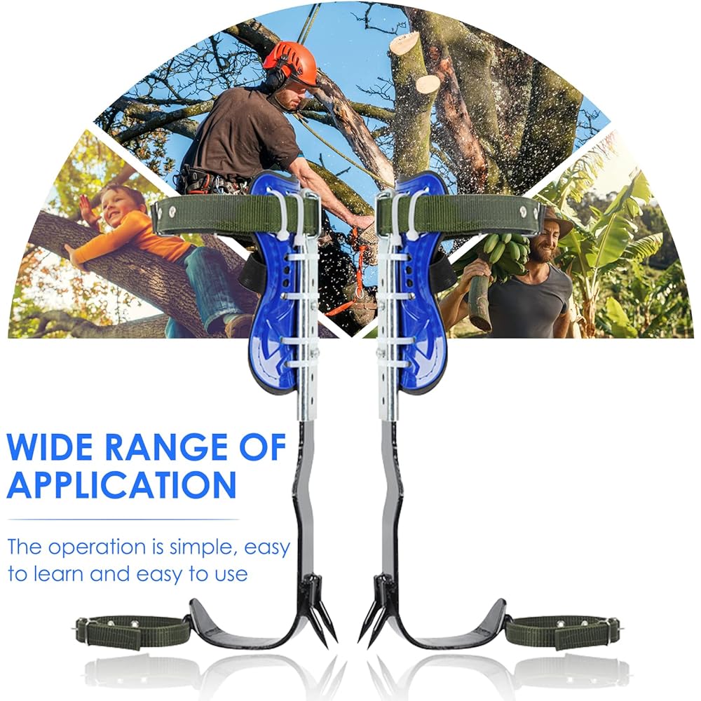 Helangel Griffe elagage,Ensemble de Pointes d'escalade d'arbre avec Ceinture de sécurité à Cinq Points Outils de Mise à Niveau,Ensemble de grimpeur d'arbre : Sports et Loisirs