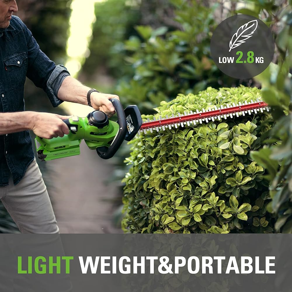 Greenworks 40V perche et taille-haie perche, taille-haie avec batterie/chargeur 2Ah : Jardin
