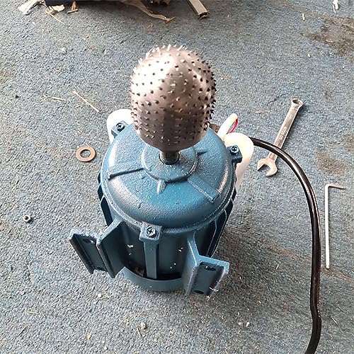 BOBVB Râpe à noix de coco électrique professionnelle