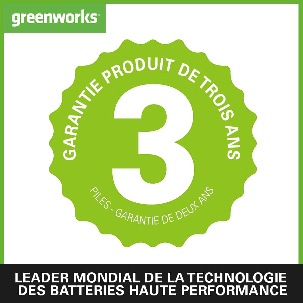 Cisaille sculpte-haies & taille-herbe de 120mm à batterie 2Ah 2en1 Greenworks G24SHTK2 (Li-Ion 24V 2400 coups/min épaisseur 8mm taille-haie de 20cm avec chargeur : Jardin