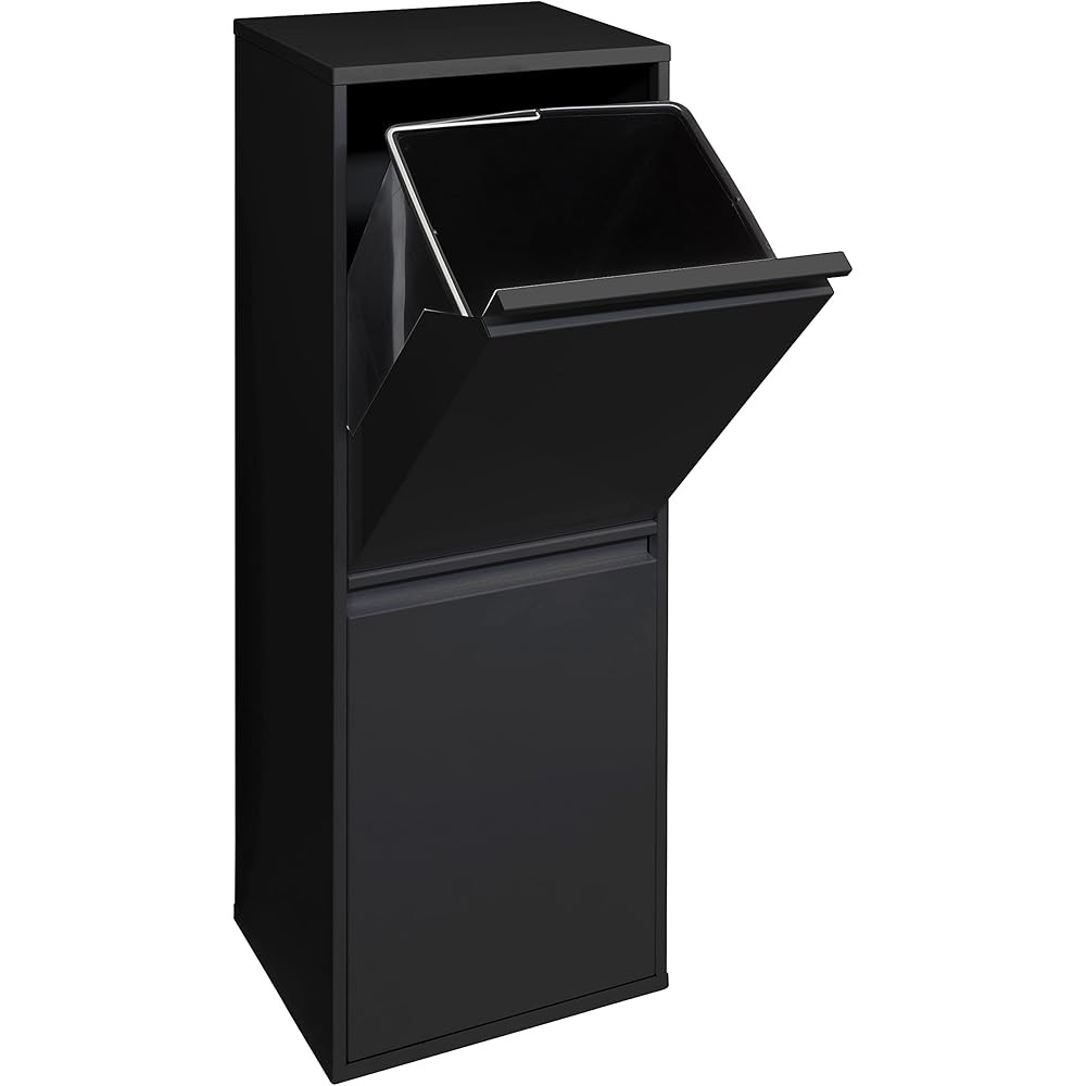 ARREGUI Basic CR206-B Poubelle de Recyclage Cuisine 2 Bacs | 2 x 17 L (34 L) | Poubelle de Tri Sélectif 2 Rangements | Meuble Poubelle en Acier avec 2 Seaux | Sac Poubelle | noir : Cuisine et Maison