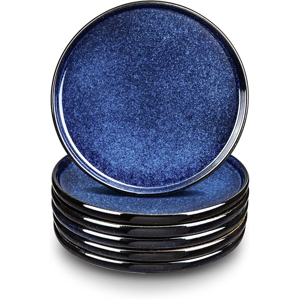 Vicrays Lot de 25 assiettes en céramique pour dîner en porcelaine, 25,4 cm, assiettes plates pour viande, pâtes, pizza, maison, fête, restaurant, résistant aux rayures, micro-ondes et lave-vaisselle : Cuisine et Maison