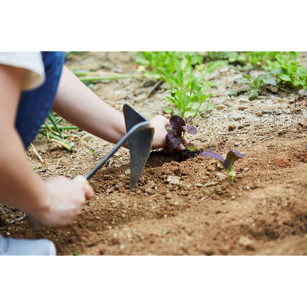 HOMI YOUNGJU Binette de qualité supérieure avec housse de sécurité pour faciliter le jardinage, le désherbage et l'agriculture. Fabriqué par un maître forgeron coréen : Jardin