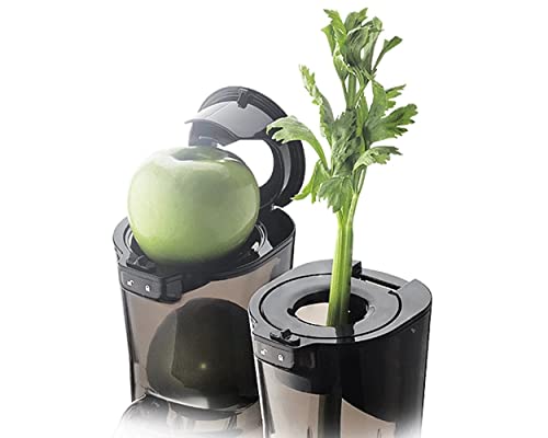 Kuvings B9700 Extracteur de jus à rotation lente gris