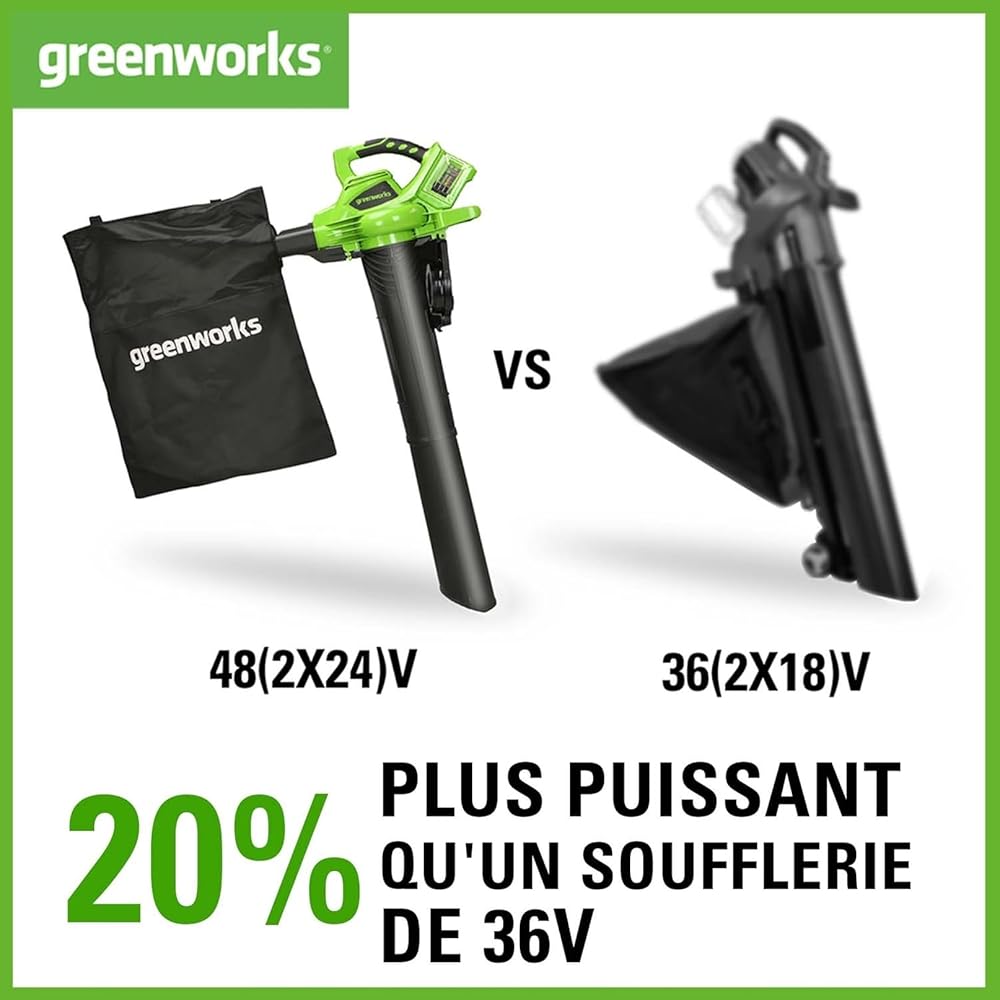 Greenworks Aspirateur souffleur 2x24V 322km/h avec 2 batteries