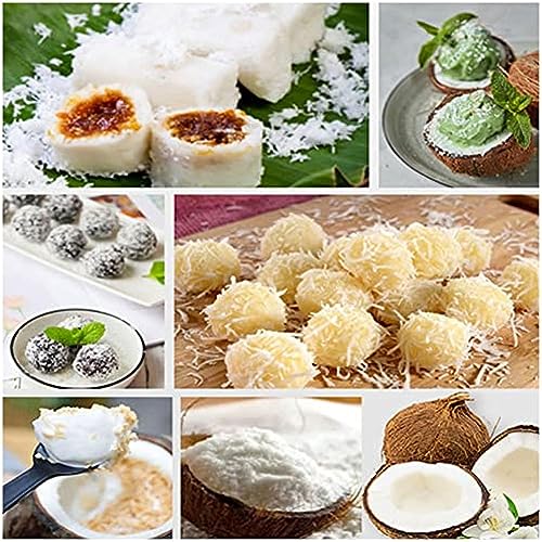 BOBVB Râpe à noix de coco électrique professionnelle
