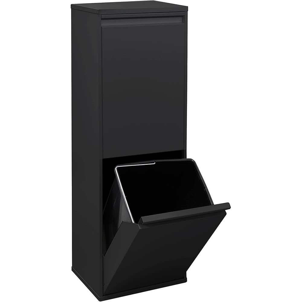 ARREGUI Basic CR206-B Poubelle de Recyclage Cuisine 2 Bacs | 2 x 17 L (34 L) | Poubelle de Tri Sélectif 2 Rangements | Meuble Poubelle en Acier avec 2 Seaux | Sac Poubelle | noir : Cuisine et Maison