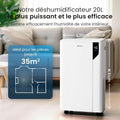 Pro Breeze Déshumidificateur d Air 20L/Jour - Deshumidificateur économe en énergie avec Mode Séchage des Vetements, Capteur et indicateur d'humidité, Filtre - Absorbeur d'humidité et moisissures : Cuisine et Maison