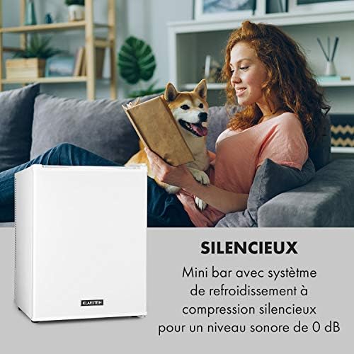 Klarstein Mini frigo de chambre 30L silencieux, réglable 5-15°C