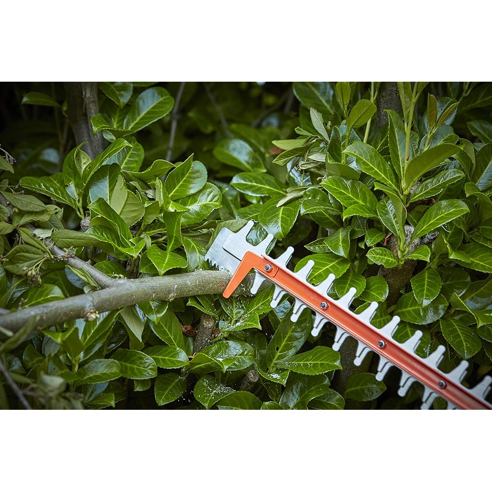 BLACK+DECKER - Taille-Haies sans fil - batterie lithium 36 V - léger et compact - 55 cm - embout lame de scie - livré sans Batterie - BCHTS36B-XJ : Jardin
