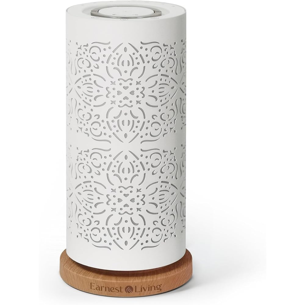 Earnest Living Diffuseur sans eau pour huiles essentielles - Système de diffusion nébulisante de 100 ml - Diffuseur d'aromathérapie en métal - Humidificateur à brume froide - Machine de parfum pour : Hygiène et Santé