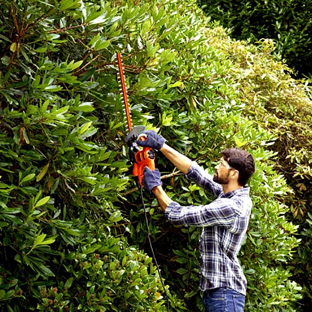 BLACK+DECKER Taille-Haies Filaire 420 W, Taille-Haies Electrique 45 cm avec 2 Poignées et Garde, Lame Asymétrique, Ecartement 16 mm, Robuste et Léger, BEHT201-QS Noir : Jardin
