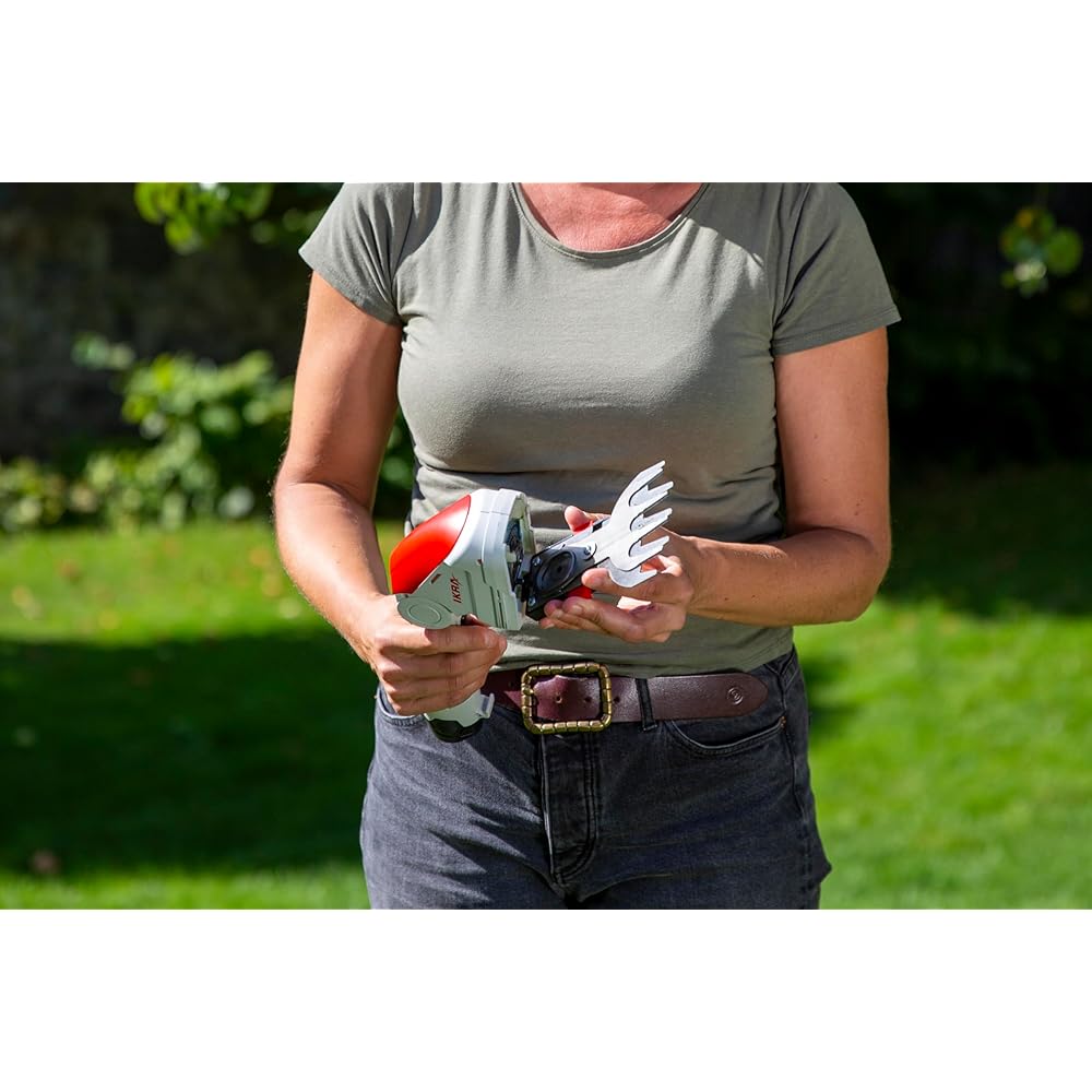 IKRA cisaille à Gazon & Taille-buissons télescopique sans Fil IGBS 1210 F avec Batterie & Chargeur, Lames « Made in Germany » : Jardin