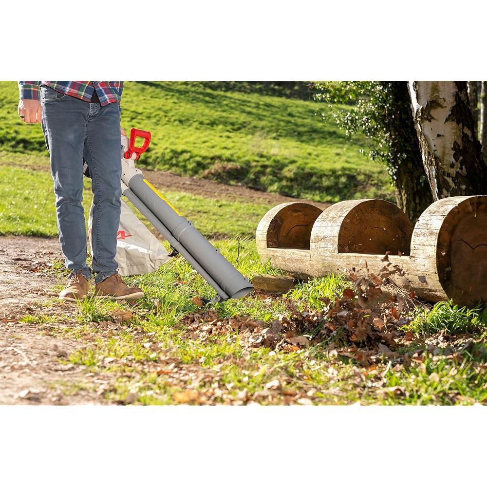 IKRA aspirateur souffleur de Feuilles à Batterie 3en1 IALS 2-20 INCL. 2X Batterie & Double Chargeur Rapide : Jardin