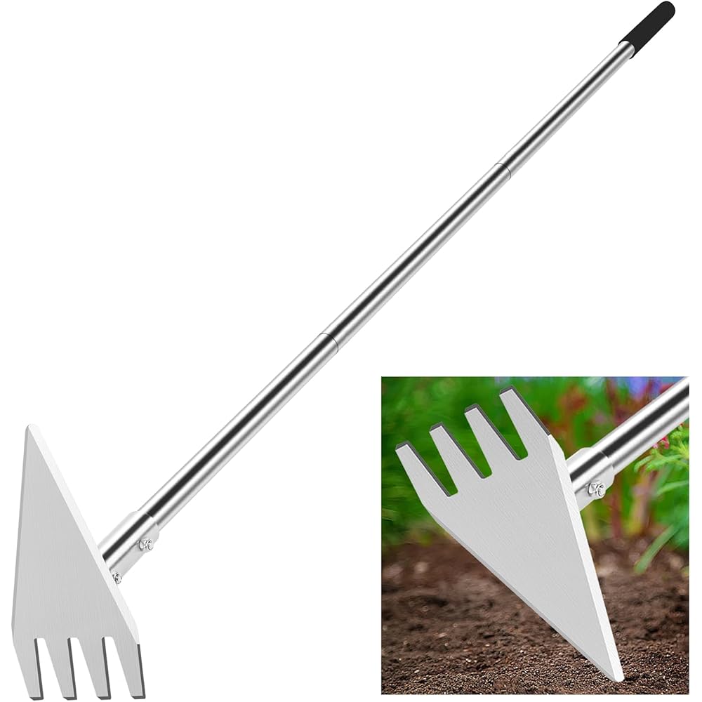 BARAYSTUS Binette à double tête - 74,9 - 146,6 cm - Manche long réglable - Outil de jardinage en acier inoxydable - Pour jardinage, plantation, désherbage, creusage, ameublissement du sol : Jardin