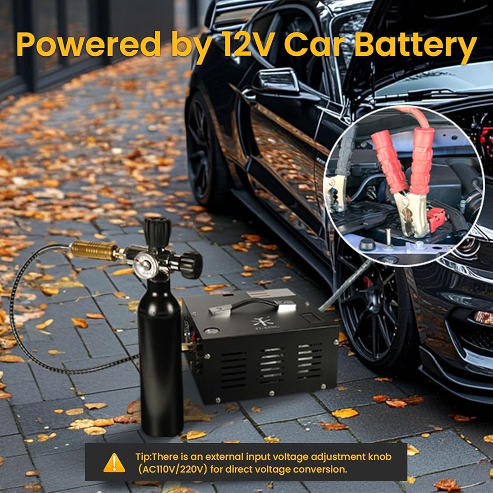 TUXING Compresseur d'air PCP 4500 PSI 30 MPa alimentation 12 V DC et 220 V AC avec adaptateur