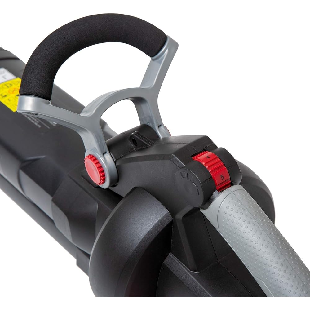 Souffleur/Aspirateur de feuilles mortes Sprint 18LBV dual 18V (36V) Li-ion à batteries, Powered by Briggs & Stratton, vitesse de l'air 247 km/h, moteur sans balai, sac souple 45L : Jardin