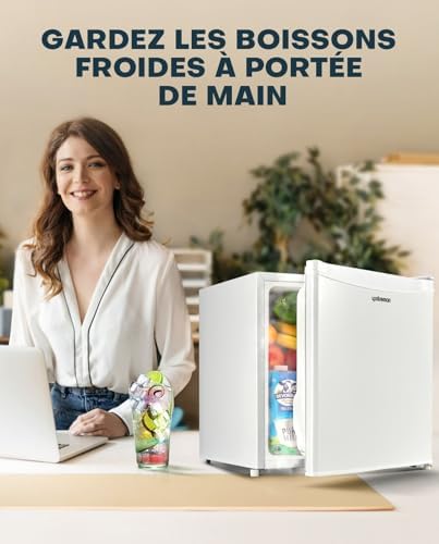 Upstreman 46L Mini frigo avec congélateur