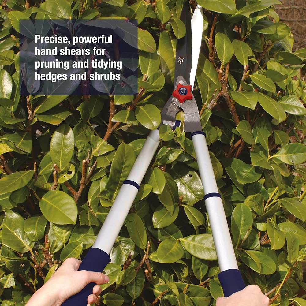 Spear & Jackson Neill Tools T/A cisaille à haie télescopique : Jardin