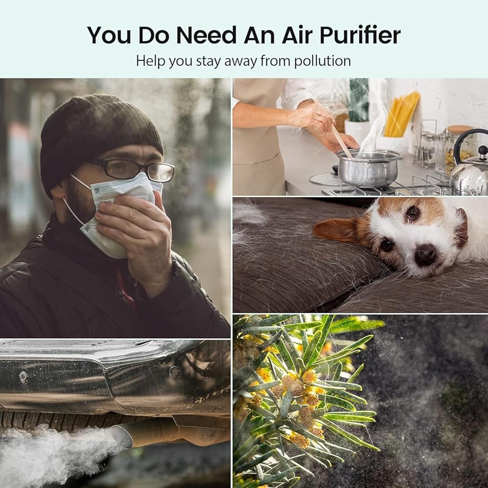Afloia Purificateur d'Air, 3 Modes, Timer 2/4/8h, 22dB Mode Veille, 7 Couleurs Lumières, peut Filtrer 99,99% de la Poussière, du Pollen, de la Fumée, des Odeurs, CADR 130m³/h : Cuisine et Maison