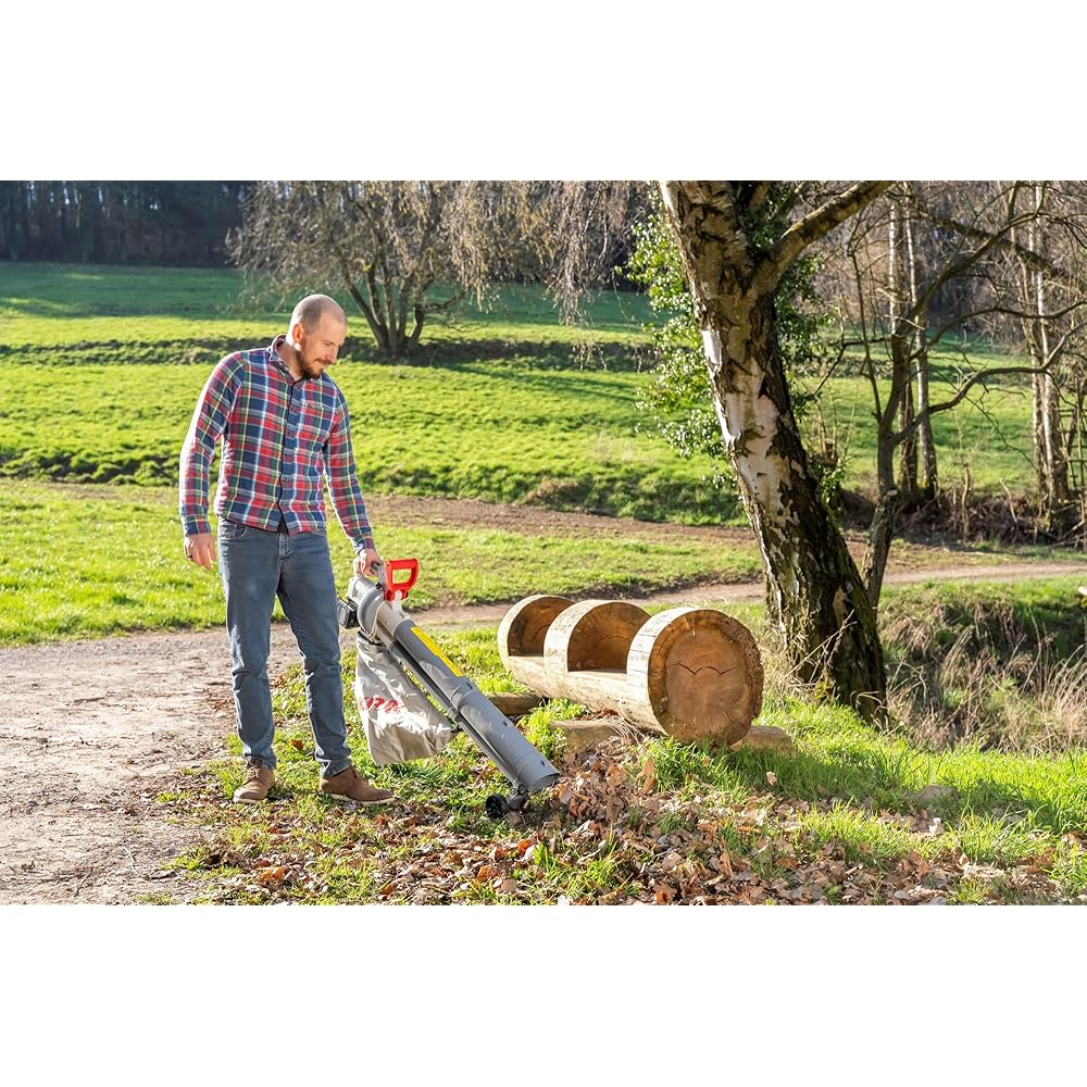 IKRA aspirateur souffleur de Feuilles à Batterie 3en1 IALS 2-20 INCL. 2X Batterie & Double Chargeur Rapide : Jardin