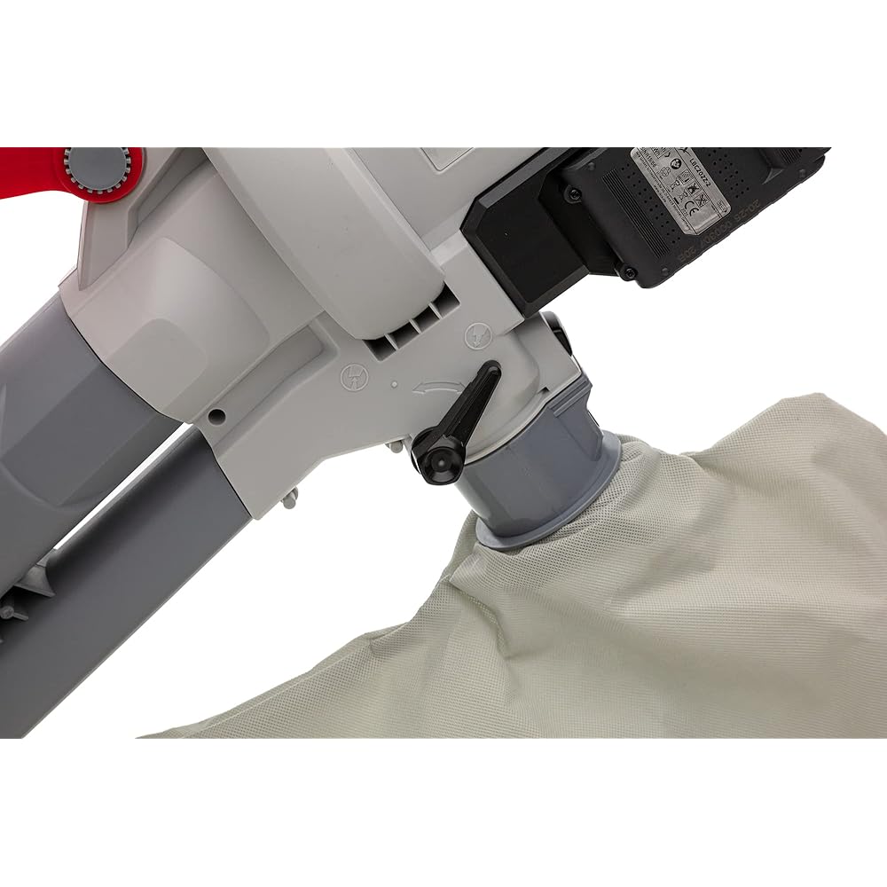 Ikra Aspirateur-souffleur à batterie ICBV 2/20, 2x batteries, 1x double charger rapide, 2x sac de ramassage inclus : Jardin