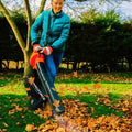 Yard Force 40V Aspirateur, Souffleur, Broyeur de Feuilles sans Fil, Fonction 3 en 1, 230km/h, Batterie Li-Ion et Chargeur LB C20 : Jardin