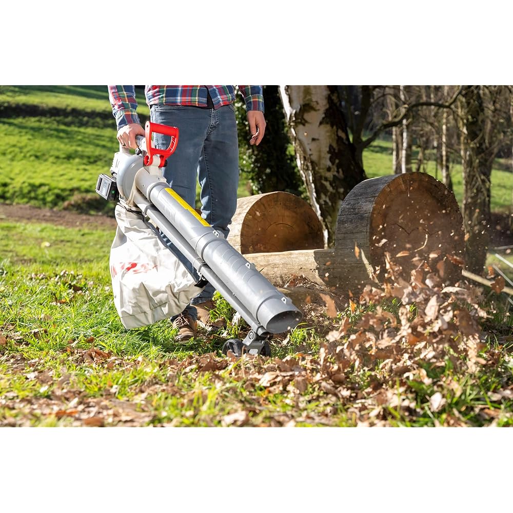 IKRA aspirateur souffleur de Feuilles à Batterie 3en1 IALS 2-20 INCL. 2X Batterie & Double Chargeur Rapide : Jardin