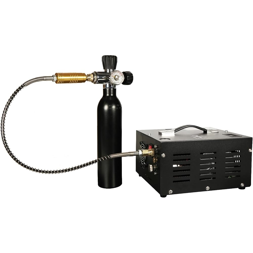 TUXING Compresseur d'air PCP 4500 PSI 30 MPa alimentation 12 V DC et 220 V AC avec adaptateur