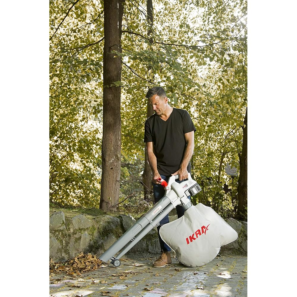 Ikra Aspirateur-souffleur à batterie ICBV 2/20, 2x batteries, 1x double charger rapide, 2x sac de ramassage inclus : Jardin