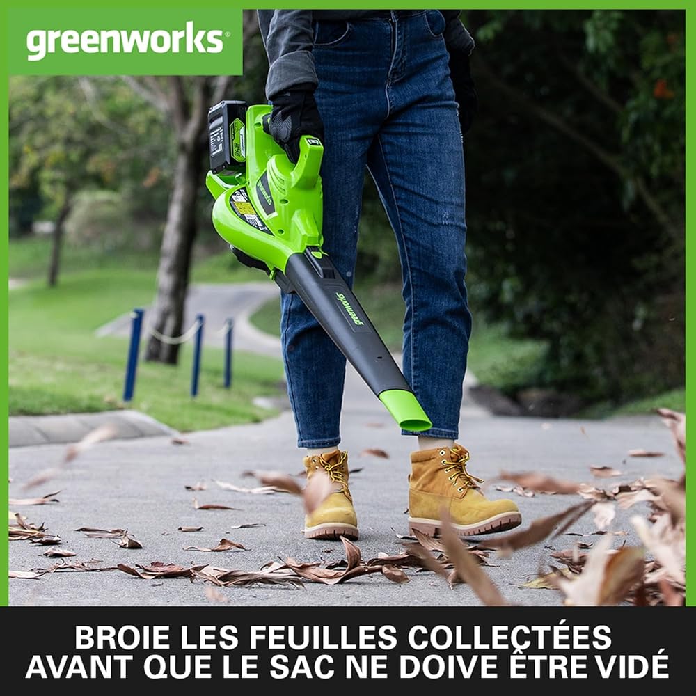 Greenworks Aspirateur souffleur 2x24V 322km/h avec 2 batteries