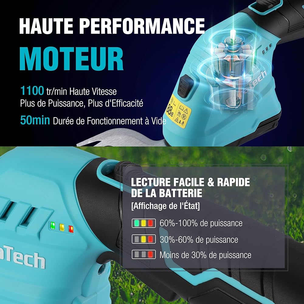 DURATECH Cisaille Sculpte-Haie Électrique et Taille-Herbes Téléscopique sans Fil 12V, Cisaille à Gazon 2 en 1, Largeur/Longueur de Coupe 12/16 cm, Batterie 2000mAh, pour Coupe, Élagage, Bleu & Noir : Jardin
