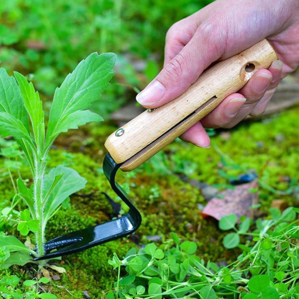 Elegital Kana 217 Binette japonaise pour jardinage – Binette à main/faucille parfaite pour désherber et cultiver Le bord de la lame est très tranchant, beige-028 : Jardin