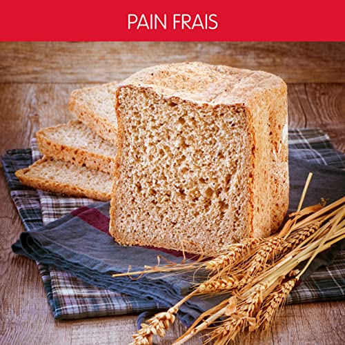 Moulinex Pain et Délices machine à pain 1kg 20 programmes
