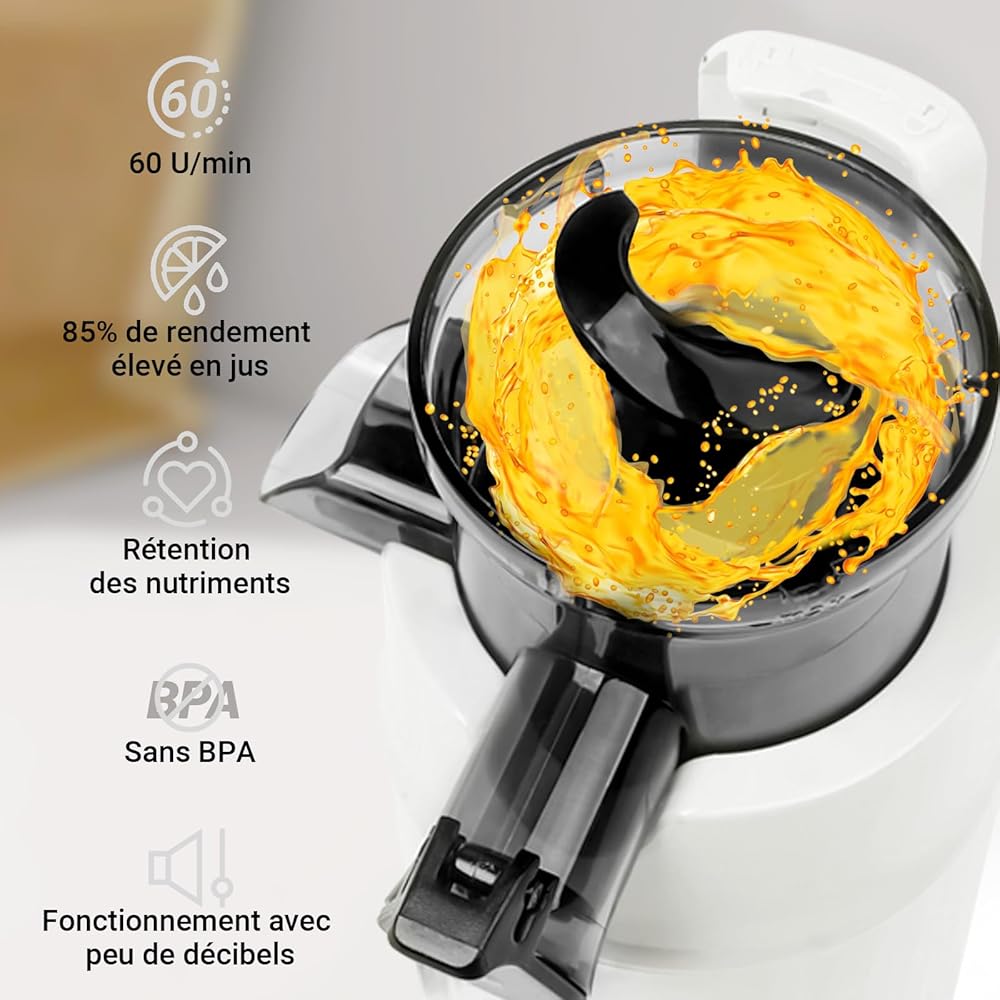 Ventray Ginnie Extracteur de Jus - Slow Juicer Pression Douce 60 Tours, Presse à froid, Fonction de Mastication Inversée, Extracteur de Jus de Fruits et Légumes Sans BPA, Facile à nettoyer, Blanc : Cuisine et Maison