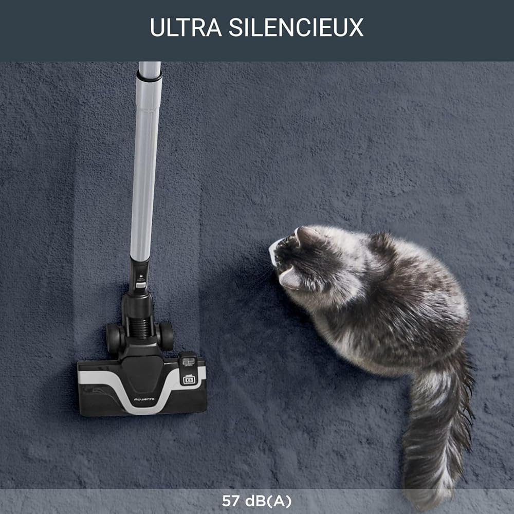 Rowenta Aspirateur traîneau silencieux avec sac