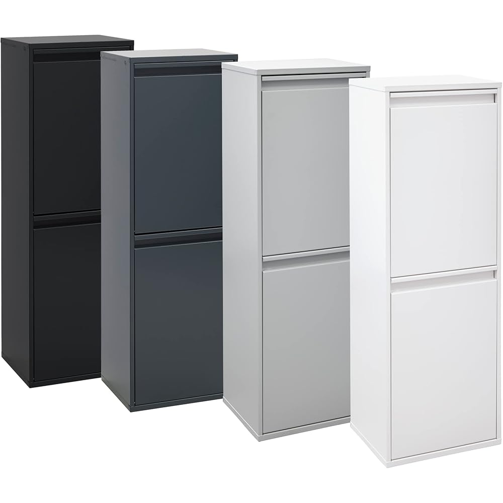 ARREGUI Basic CR206-B Poubelle de Recyclage Cuisine 2 Bacs | 2 x 17 L (34 L) | Poubelle de Tri Sélectif 2 Rangements | Meuble Poubelle en Acier avec 2 Seaux | Sac Poubelle | noir : Cuisine et Maison