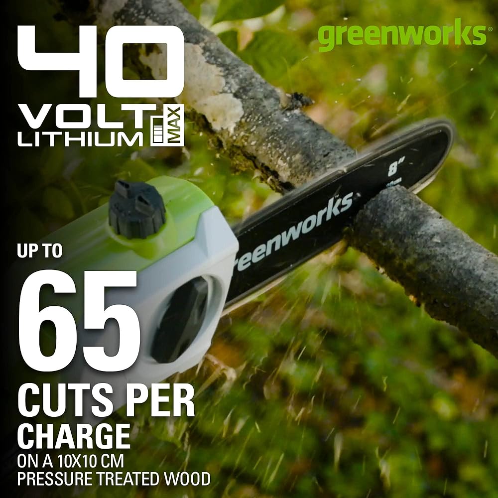 Greenworks 40V perche et taille-haie perche, taille-haie avec batterie/chargeur 2Ah : Jardin