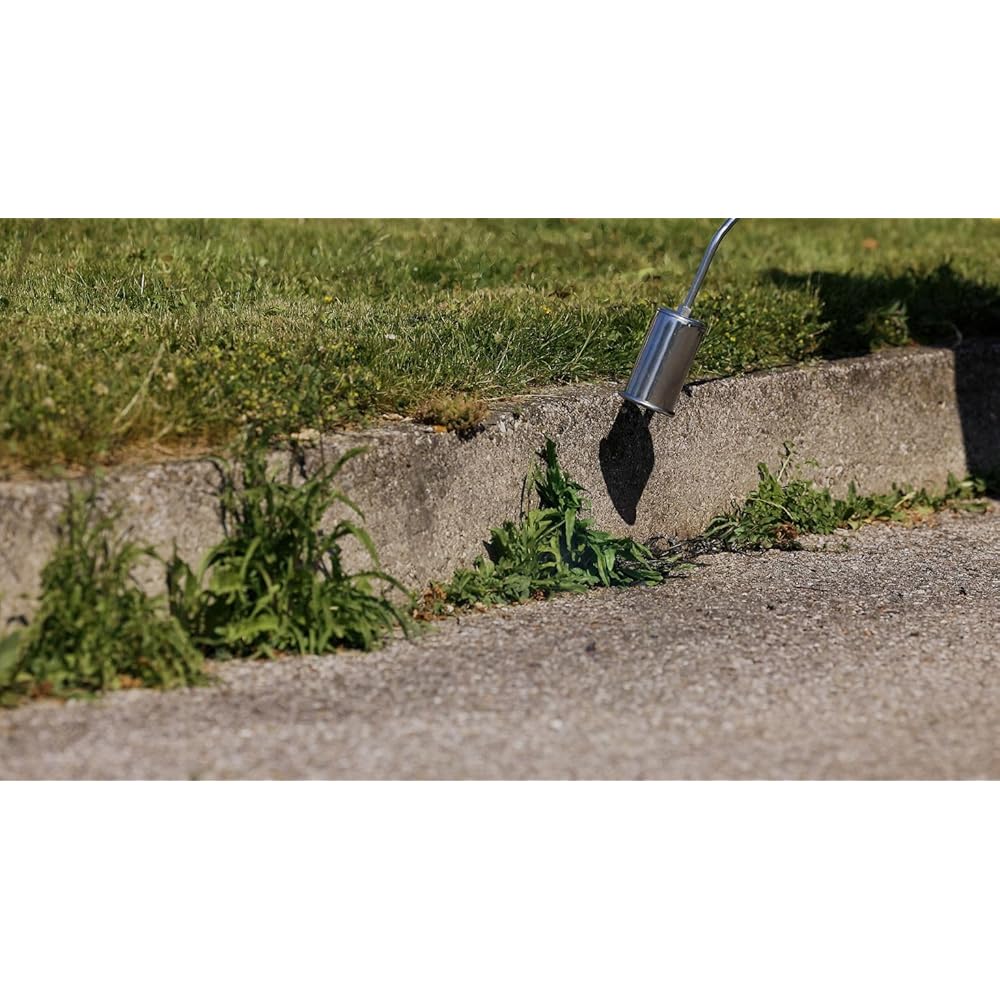 ROTHENBERGER Industrial Anwärm Brenner RoMaxi Eco inkl. 5m Propan Gas Schlauch & Druck regler, Unkraut Vernichter, Bitumenbahnen, Folien Verschweißen - 1500000930 : Jardin