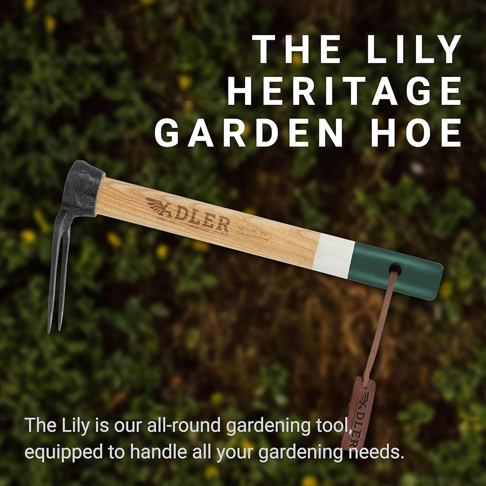 Adler - La binette de jardin Lily Heritage, en bois robuste, durable pour désherber, rempoter et creuser, 30 cm (vert) : Jardin