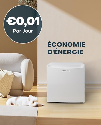 Upstreman 46L Mini frigo avec congélateur