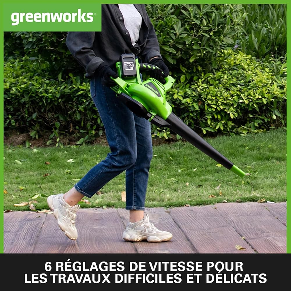 Greenworks Aspirateur souffleur 2x24V 322km/h avec 2 batteries