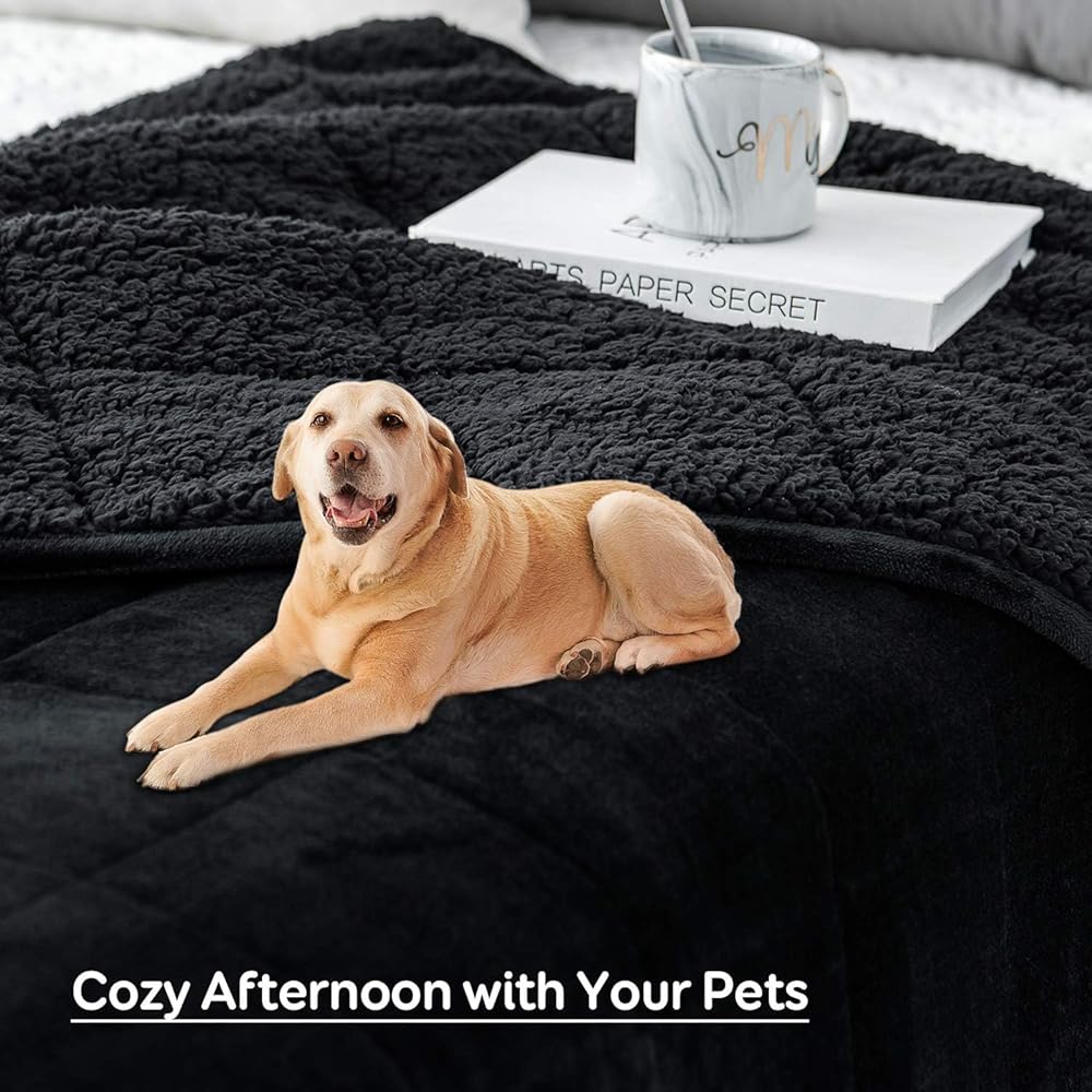 Sivio Couverture lestée pour Adulte - 7 kg - Couverture Lourde en Flanelle Douce réversible - Couverture lestée Extra Chaude et Confortable - 150 x 200 cm - Double Face - Noir : Cuisine et Maison