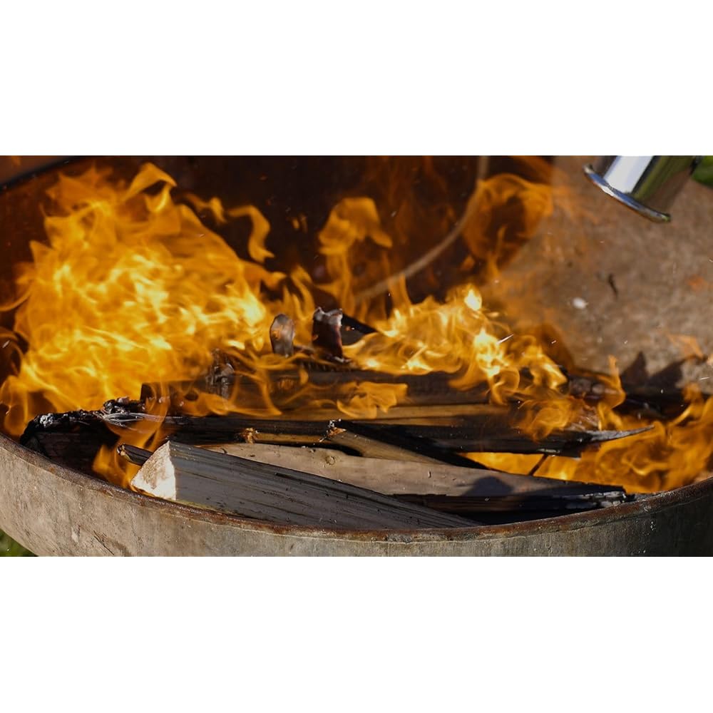 ROTHENBERGER Industrial Anwärm Brenner RoMaxi Eco inkl. 5m Propan Gas Schlauch & Druck regler, Unkraut Vernichter, Bitumenbahnen, Folien Verschweißen - 1500000930 : Jardin