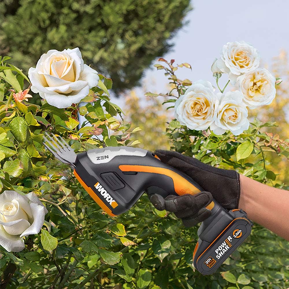 WORX 2 en 1 Set Cisaille à Gazon et Taille-buisson sans Fil WG801E.3,18V (20V Max) 2,0Ah PowerShare, 2 Lames, 1 Manche télescopique, Changement Rapide de Lame, 1 Batterie 2Ah : Jardin